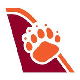 航空公司 Bearskin Airlines 图标