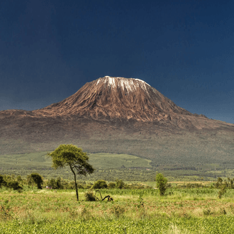 Kilimanjaro